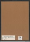 Triceratium atomus Grev. (de-Toni-Nr.: Genus 140, Species 4016) Zeichnungen Sammlung Grunow Mappe 04004 (Herbarium_W_Grunow_drawings_Folder_04004)